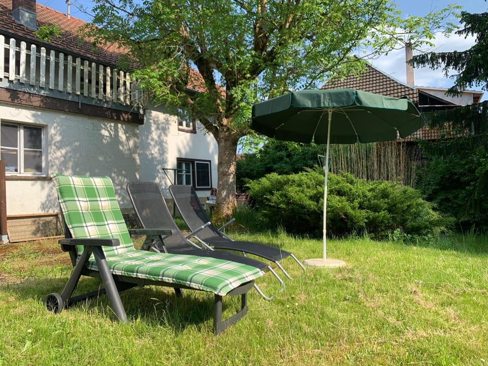 Garden, Garden, sunbed