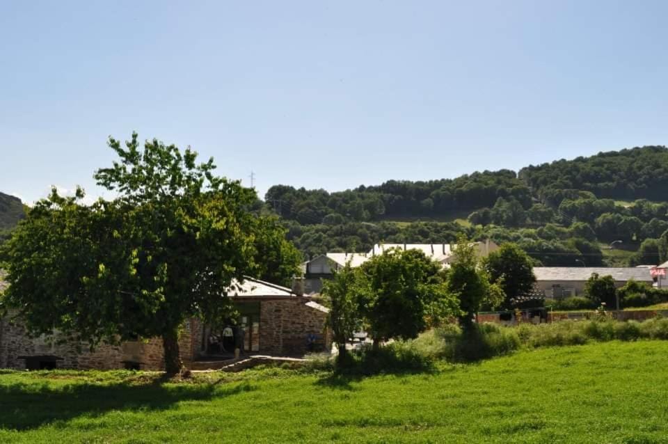 Natural landscape, Garden, Mountain view