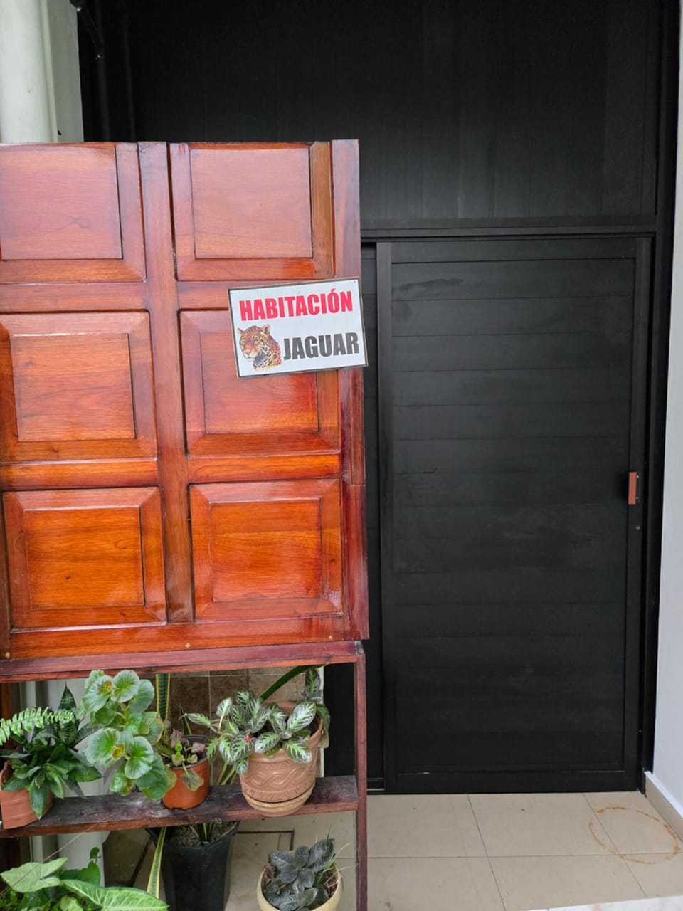 LoftJaguar Apartment in State of Tabasco