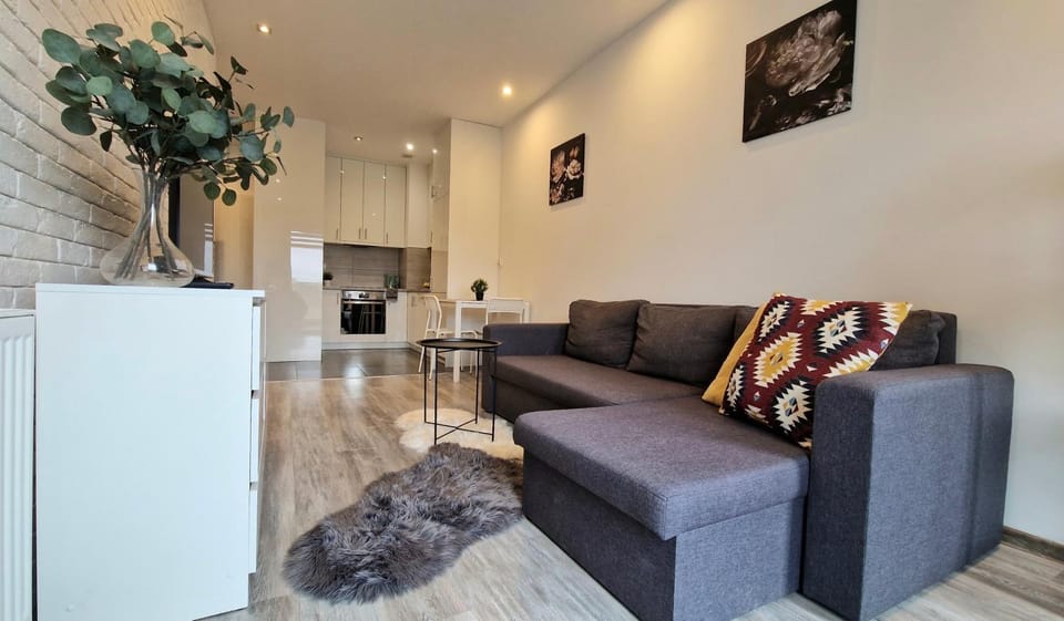 TV and multimedia, Kitchen or kitchenette, Living room, Seating area
