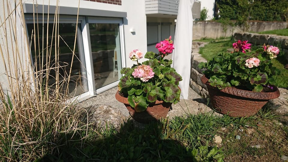 Spring, Garden, Garden view