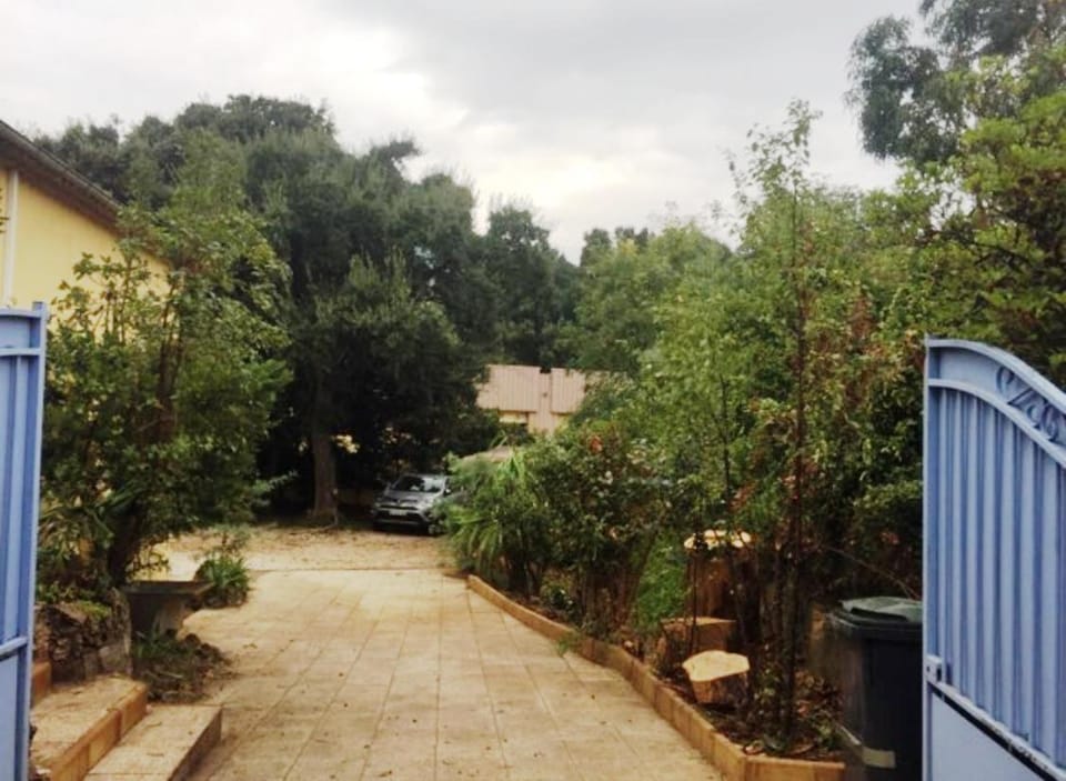 Garden view
