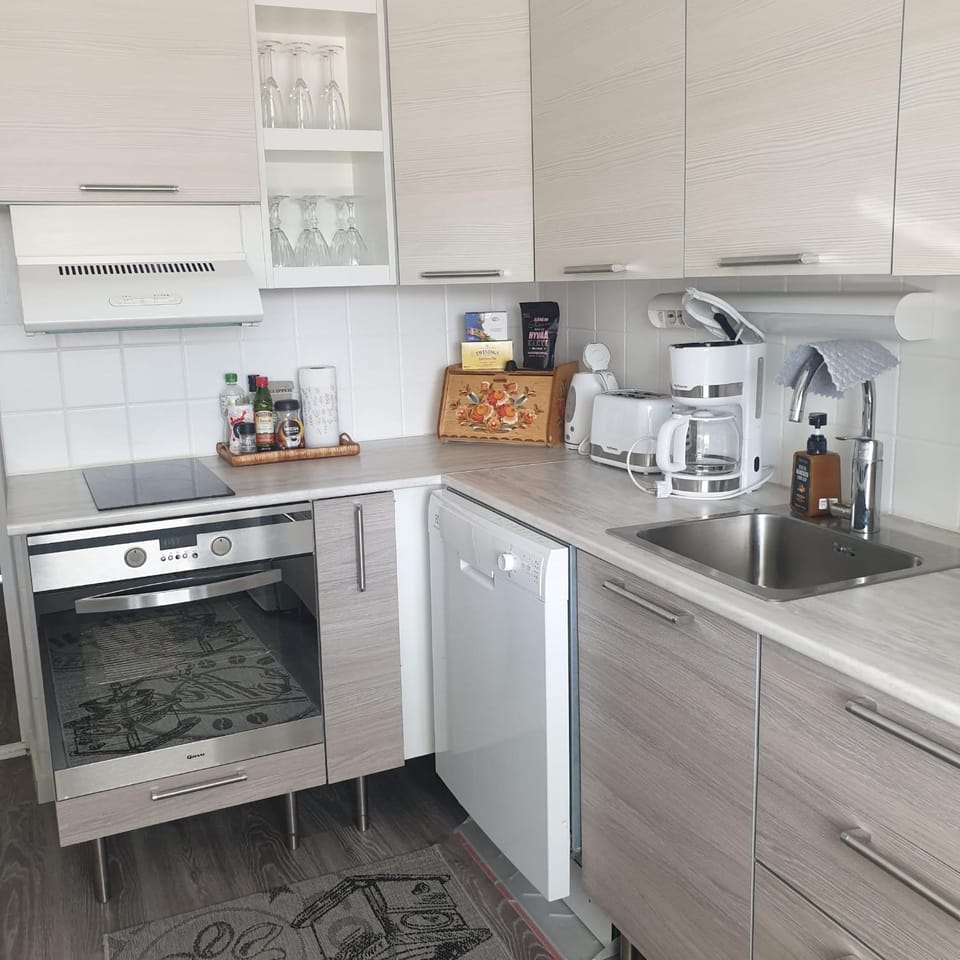 Rauhallinen kaksio keskustassa Apartment in Finland