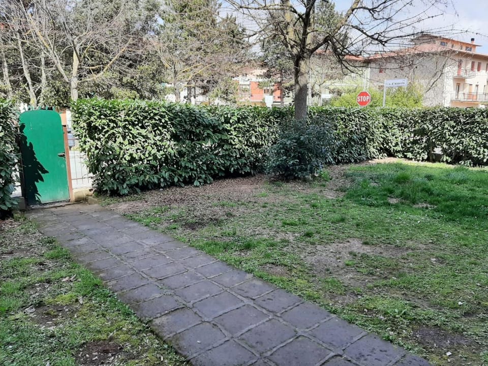 Day, Garden view