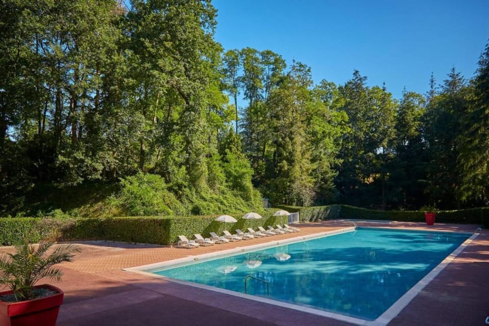 Swimming pool, Swimming pool, sunbed