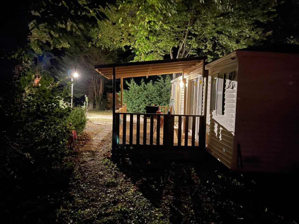 Night, Garden