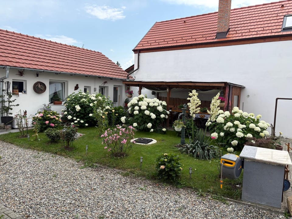 Inner courtyard view