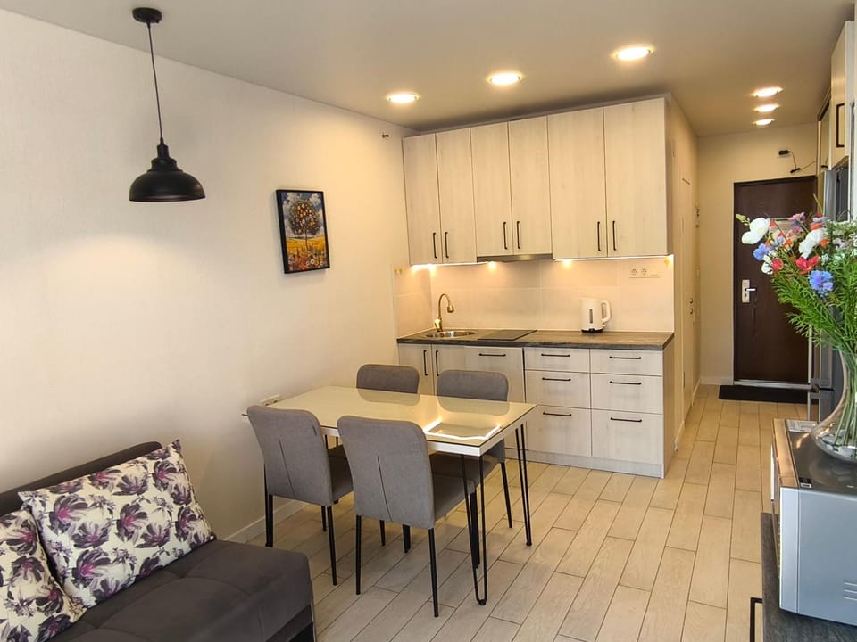 Photo of the whole room, Dining area, kitchen