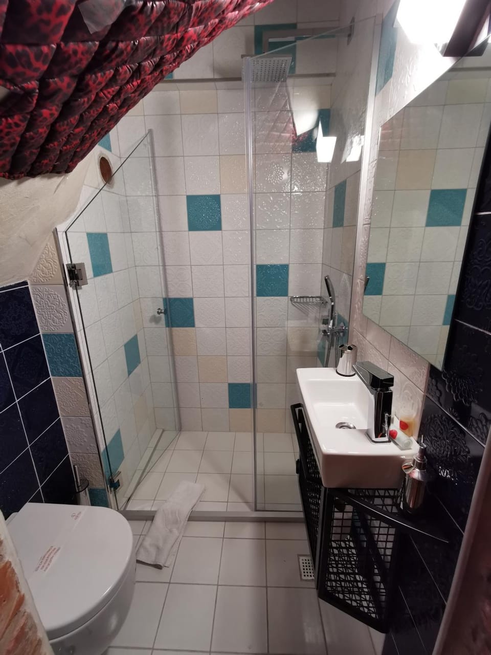 Shower, Toilet