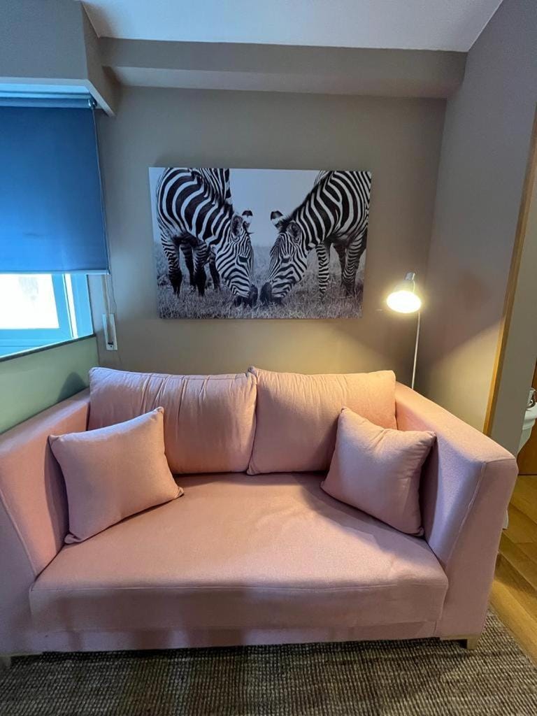 Paz Termal Apartment in Ourense