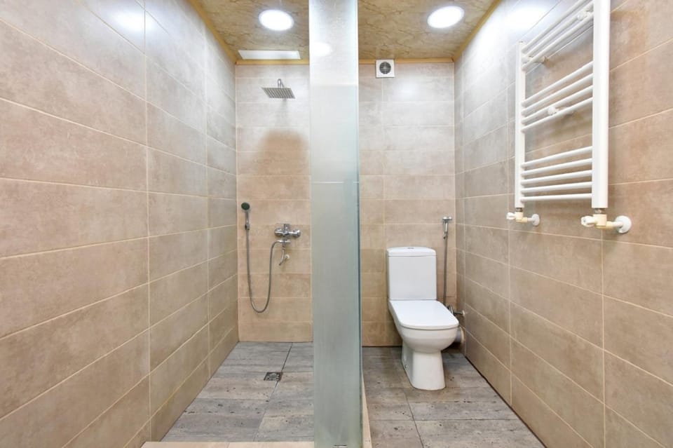 Shower, Toilet