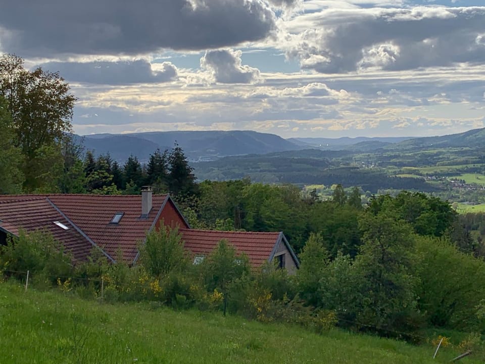 Natural landscape