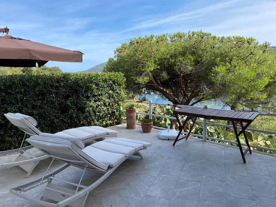 Patio, Natural landscape, Garden, View (from property/room), Balcony/Terrace, Garden view, sunbed
