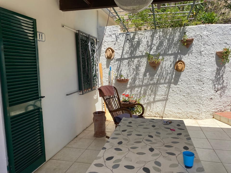 Patio, Garden, Garden view