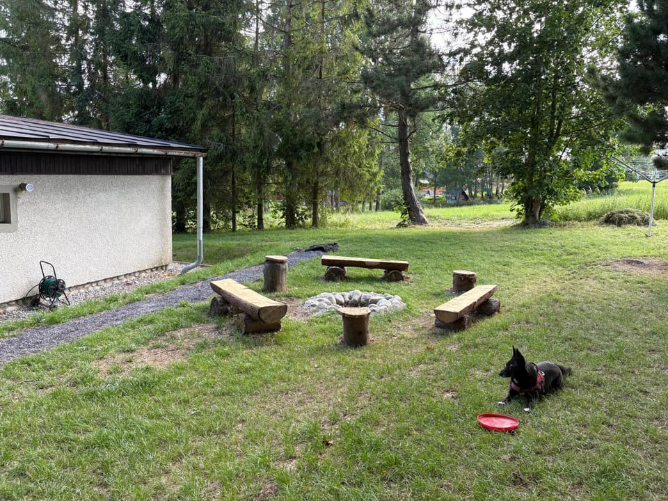 Garden, Pets, Garden view