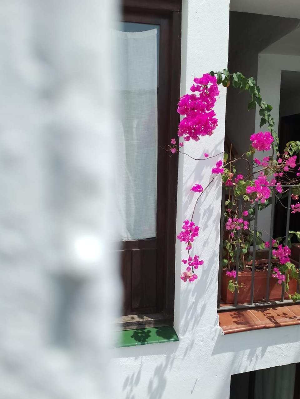 Property building, Day, View (from property/room), Balcony/Terrace, Garden view