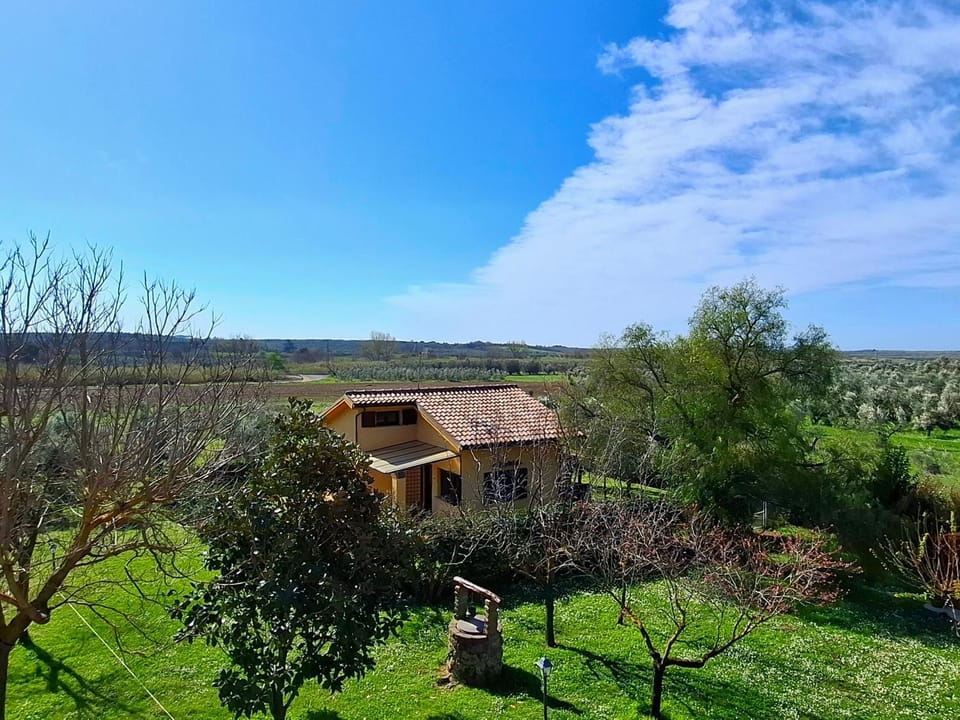 Villa Oliva House in Lazio