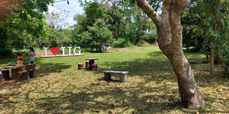 Garden, Garden view