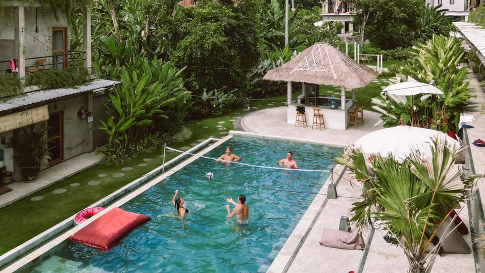 Activities, Swimming pool, group of guests