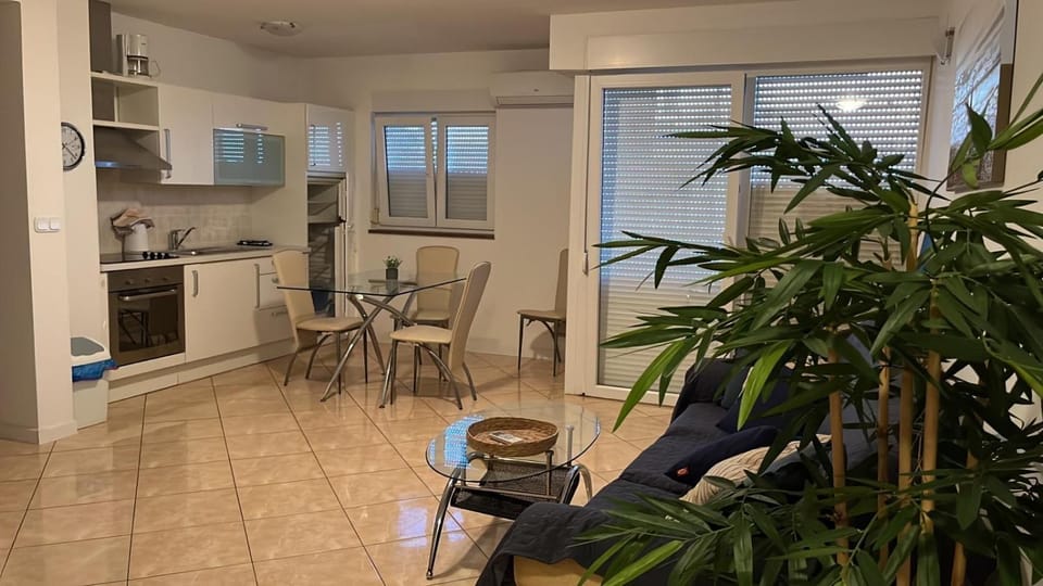 Living room, kitchen