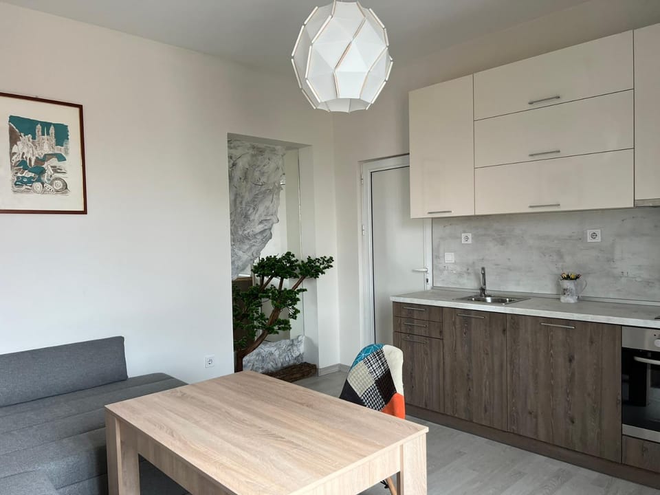 Vitosha 60 Apartment in Sofia
