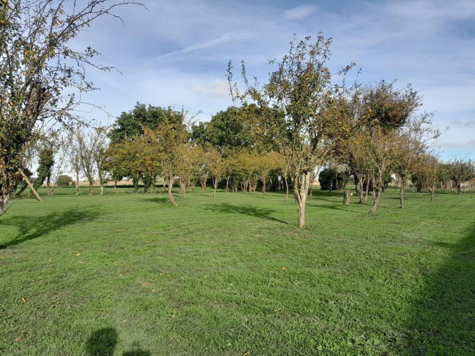 La bergerie House in Centre-Val de Loire