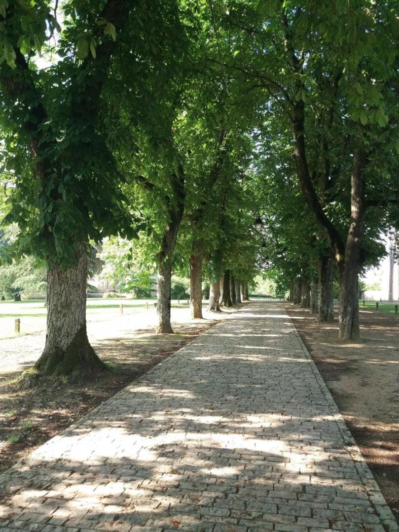 Chateau d'ayron House in Centre-Val de Loire