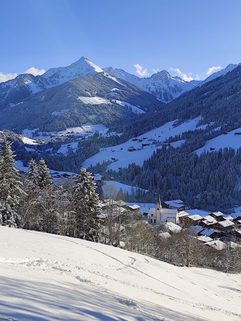 Ferienwohnung Haus Sama Apartment in Alpbach