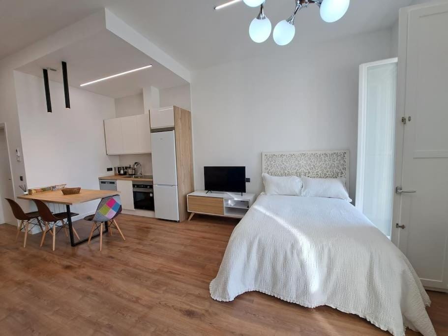 Bed, TV and multimedia, Kitchen or kitchenette, Photo of the whole room, oven