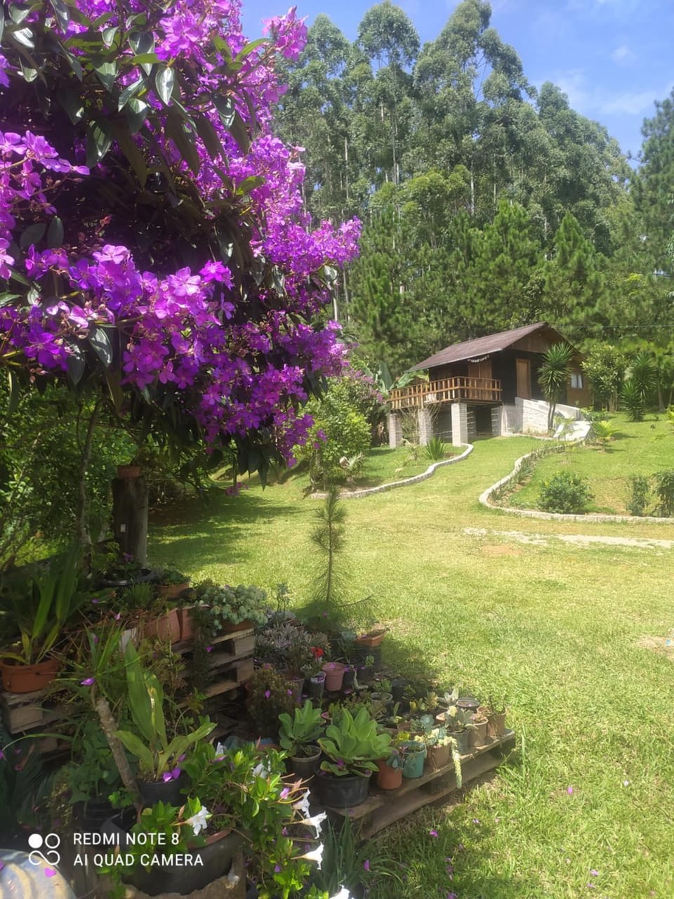 Vila Sol Cabana Nature lodge in State of Santa Catarina
