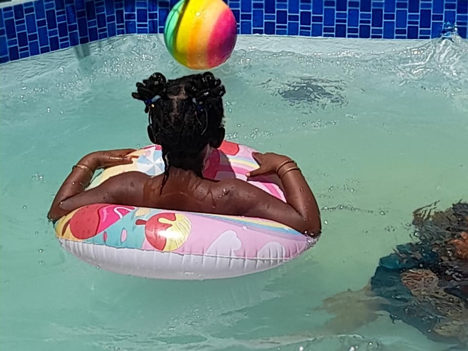 Cozy guesthouse springs Bed and Breakfast in Gauteng