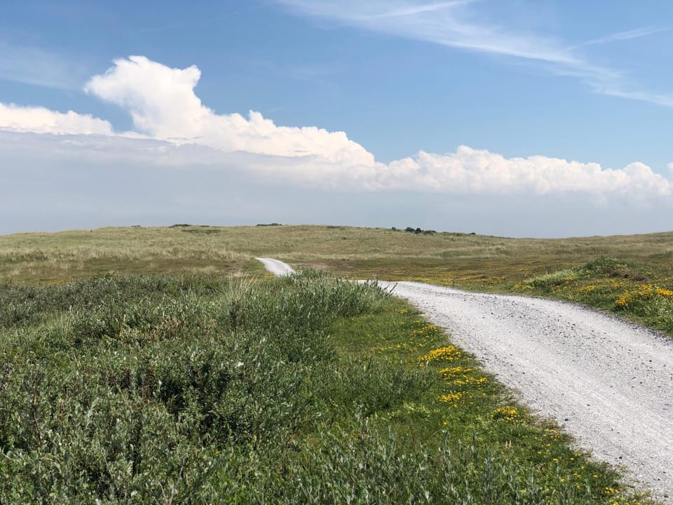 Spring, Day, Natural landscape, Cycling