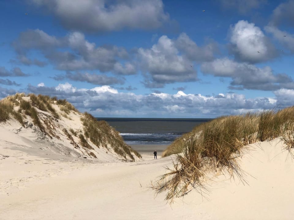 Day, Natural landscape, Beach