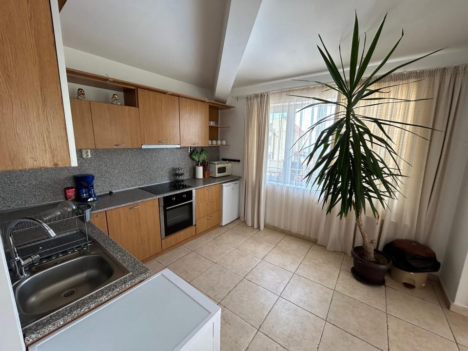 Kitchen or kitchenette, dishwasher, minibar, oven, pet friendly, stove, toaster