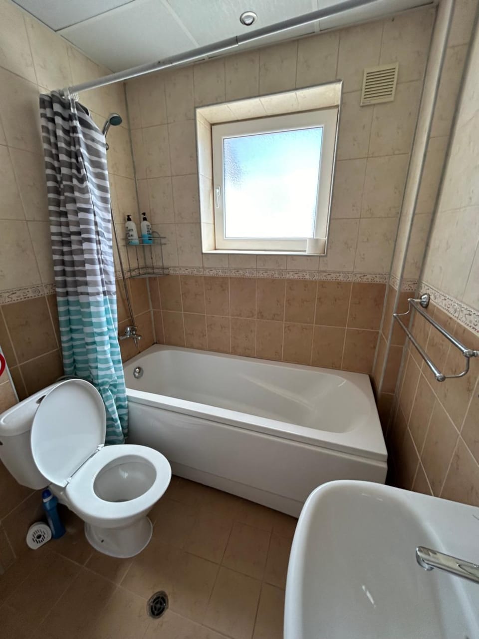 Shower, Toilet, Bathroom, Bath