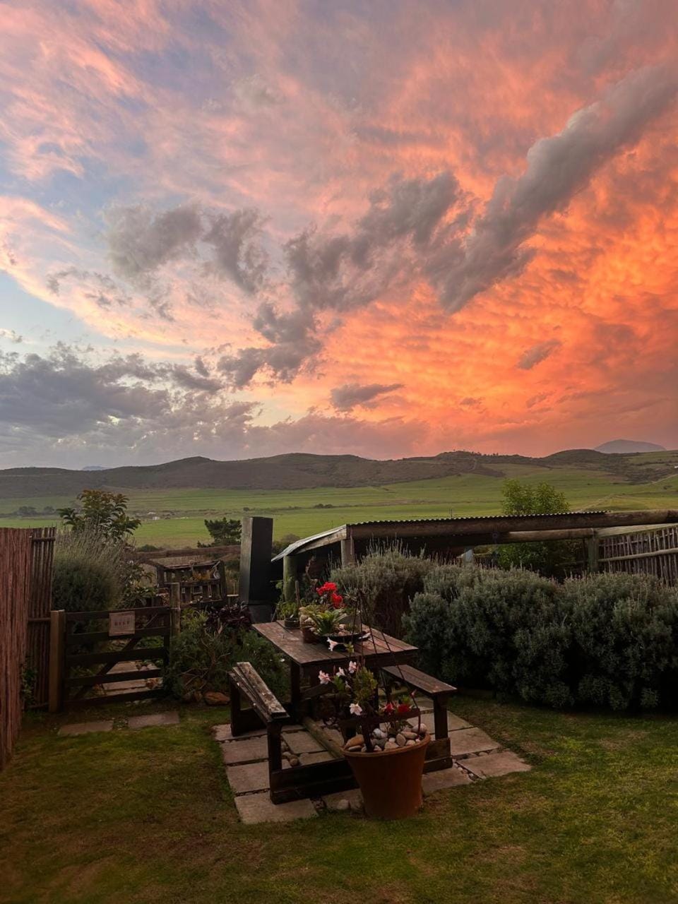 BBQ facilities, Garden, View (from property/room), Pets, Pets, Garden view, Mountain view, pet friendly, pet friendly