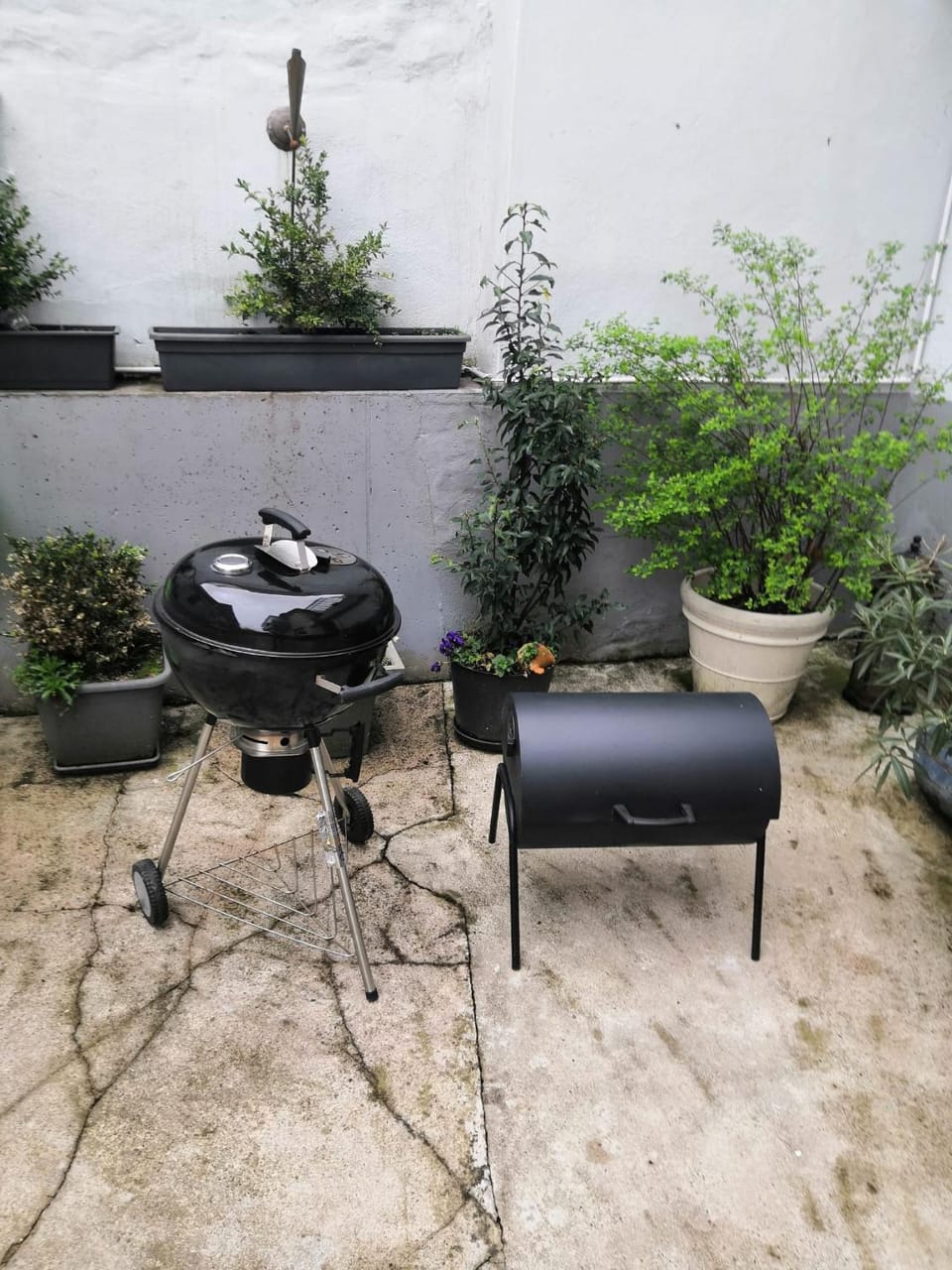 Patio, BBQ facilities