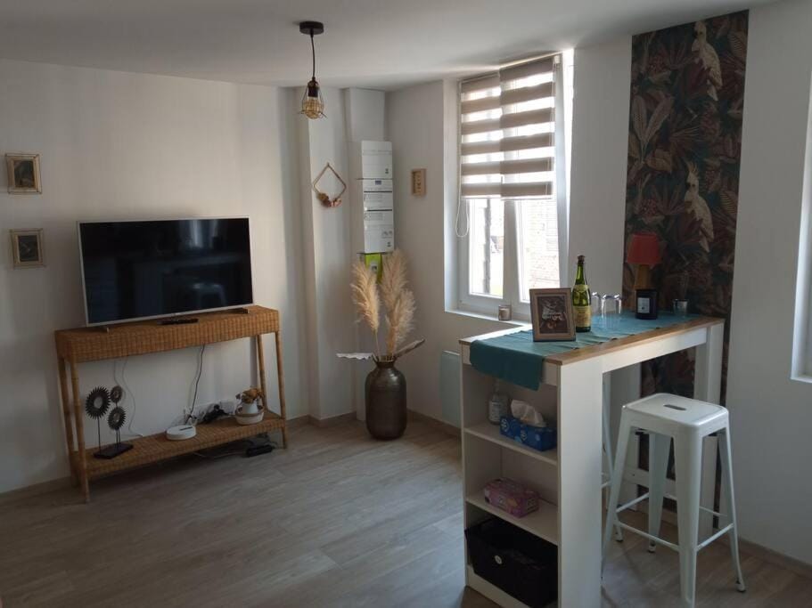 Bienvenue chez vous Apartment in Normandy