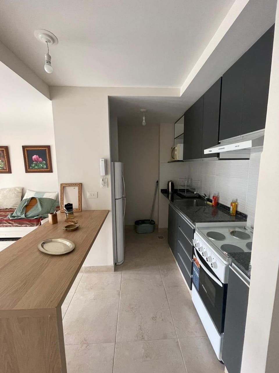 Amplio departamento céntrico Plaza Belgrano Apartment in San Salvador de Jujuy