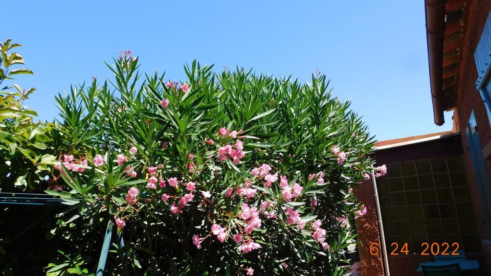 la garrigue Apartment in Villeneuve-lès-Avignon