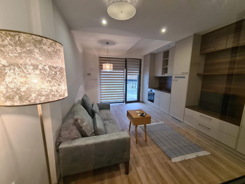 Kitchen or kitchenette, Living room, Seating area