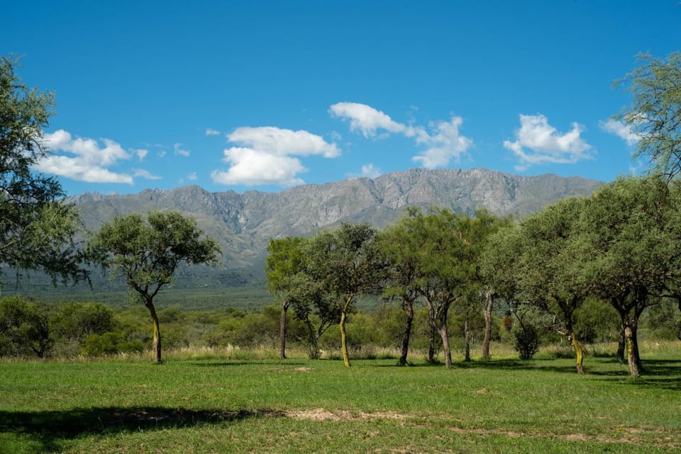 Brisas de Chacras House in San Luis Province, Argentina