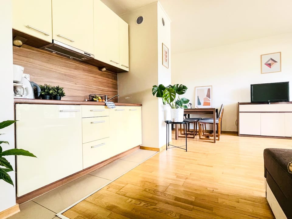 Kitchen or kitchenette, Living room