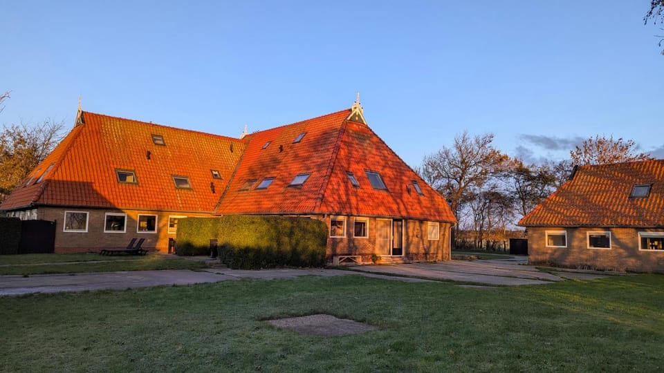 Property building, Day