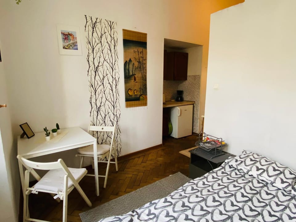 Historic Apartment Apartment in Krakow
