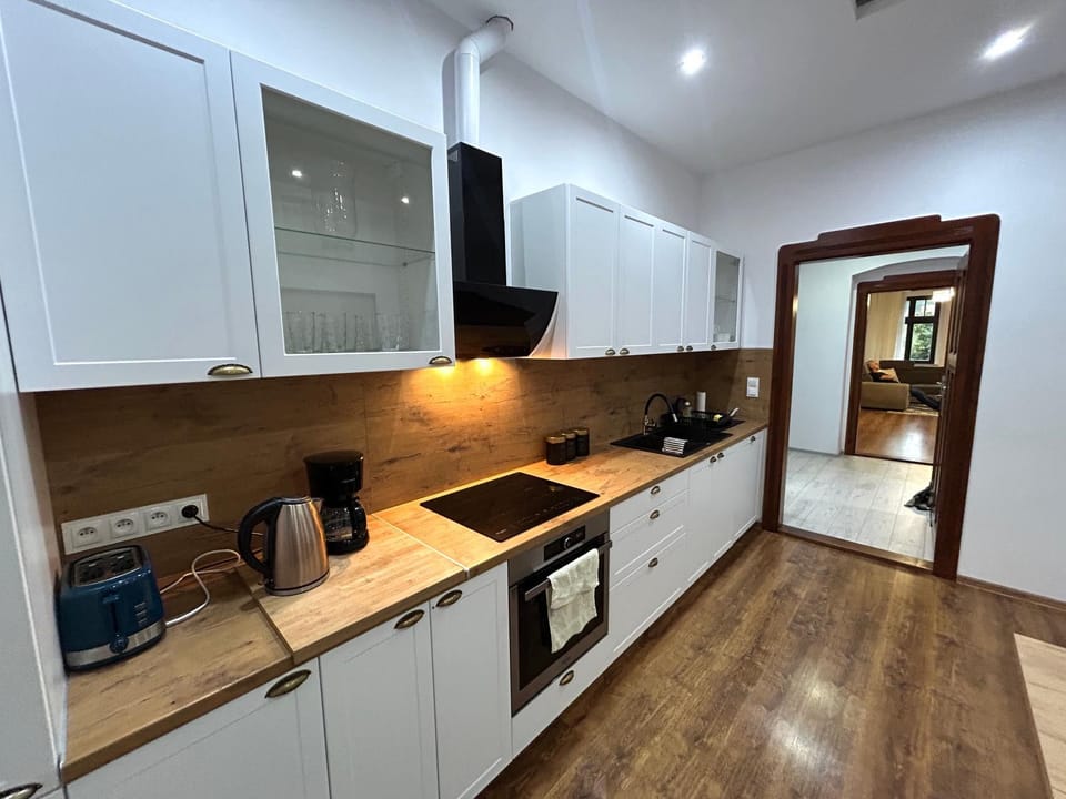 Kitchen or kitchenette, dishwasher, stove, kitchen, kitchen