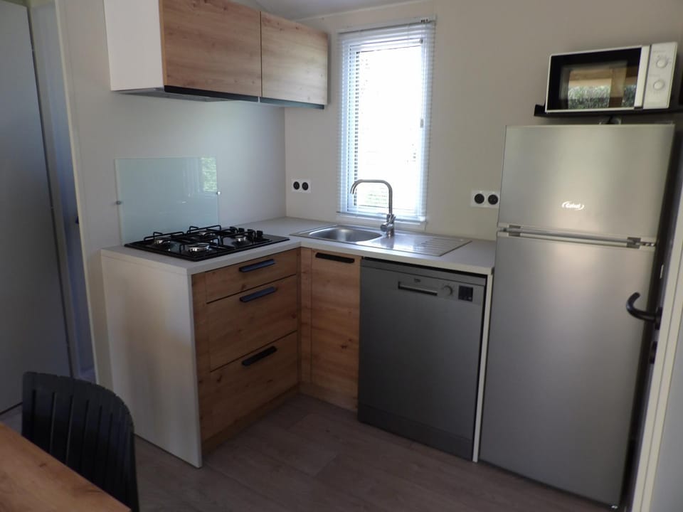 Kitchen or kitchenette, dishwasher, minibar, stove