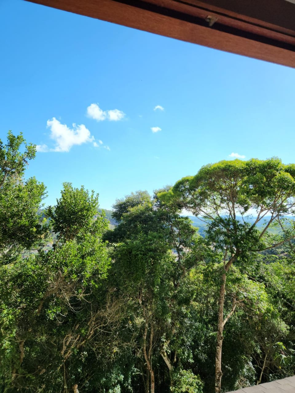 View (from property/room)