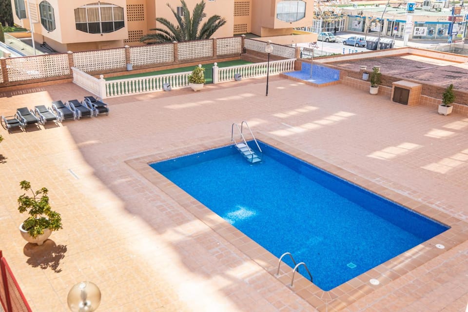 Day, Pool view, Swimming pool, sunbed
