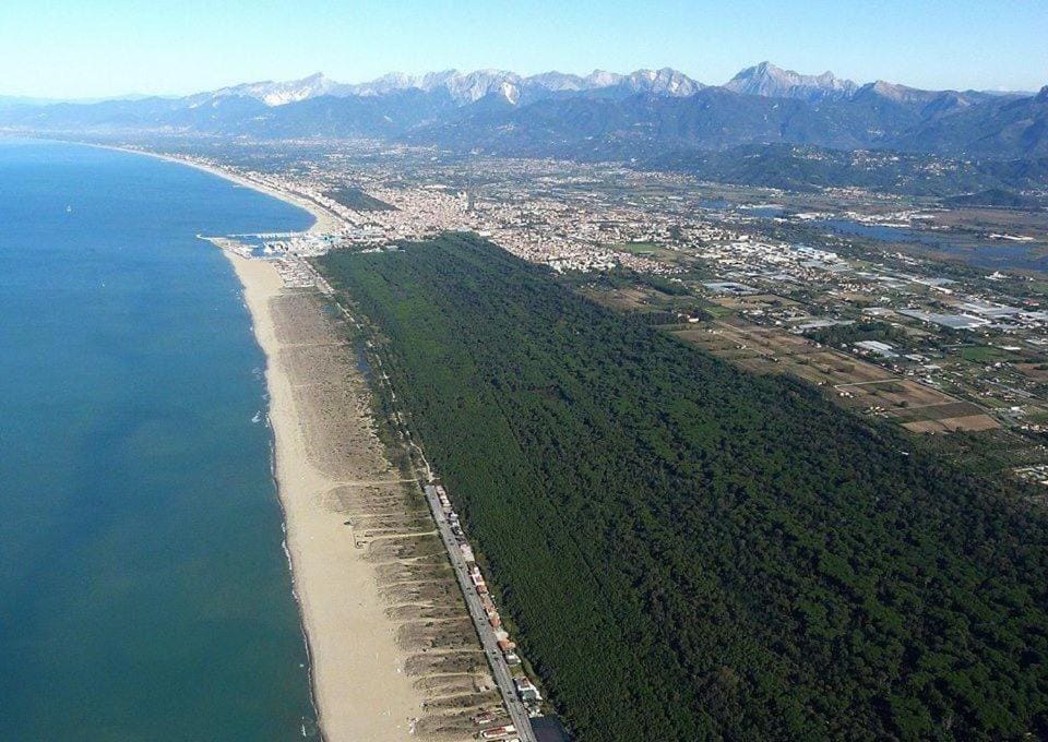 Via Puccini 217 Apartment in Viareggio